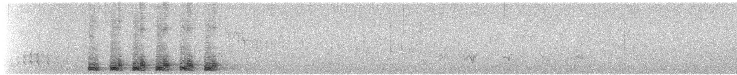 Trogon élégant (groupe ambiguus) - ML619431051