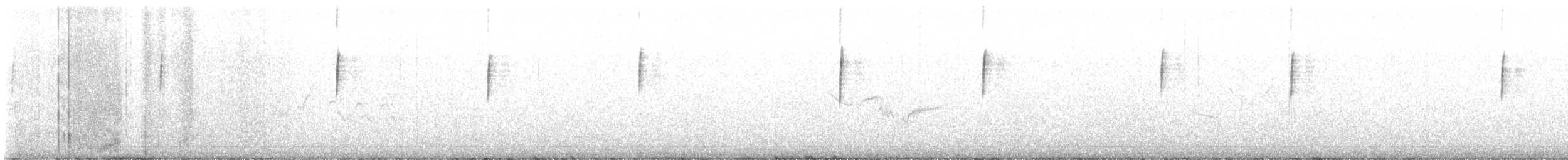 Bandammer - ML619432054