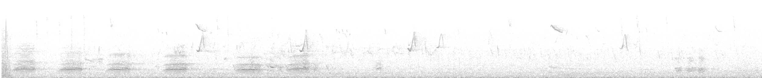 Cuervo de Tasmania - ML619432674
