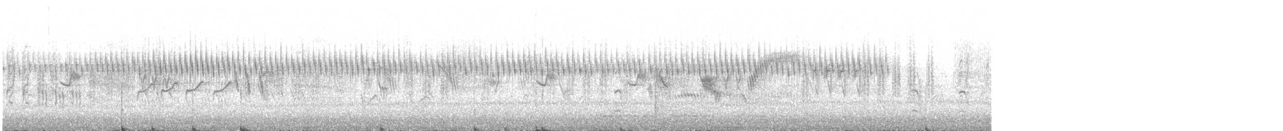 Locustelle tachetée - ML619434049