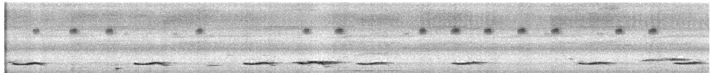 Asian Koel - ML619435274