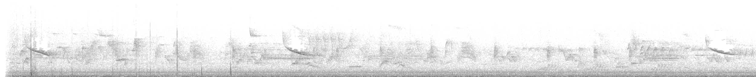 Alder Flycatcher - ML619435606