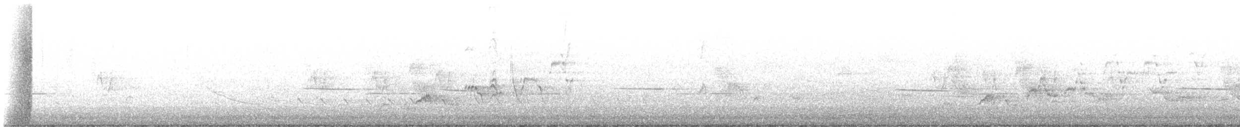 Дрізд-короткодзьоб Cвенсона - ML619436638