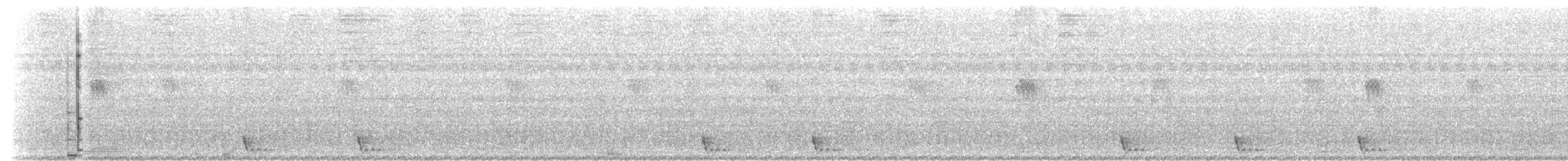Large-tailed Nightjar - ML619437932