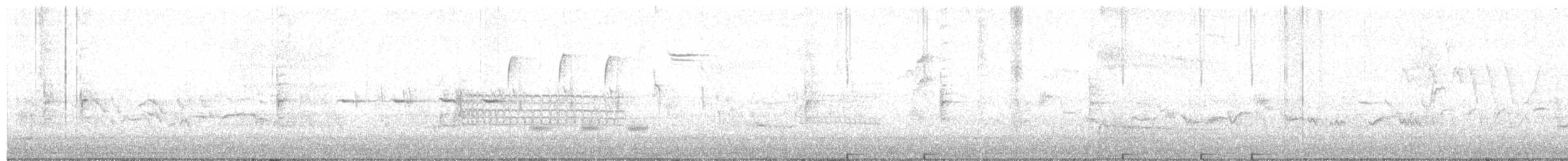 Warbling Vireo (Eastern) - ML619437962