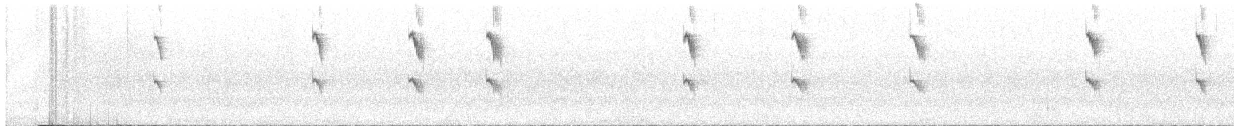 Koyu Kuyruklu Karıncakuşu - ML619438591