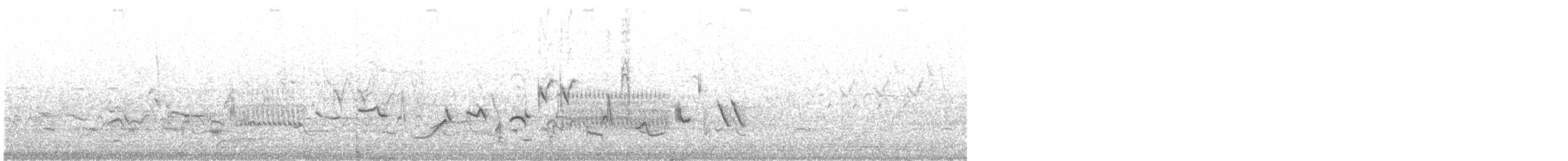 Oriole des vergers - ML619441088