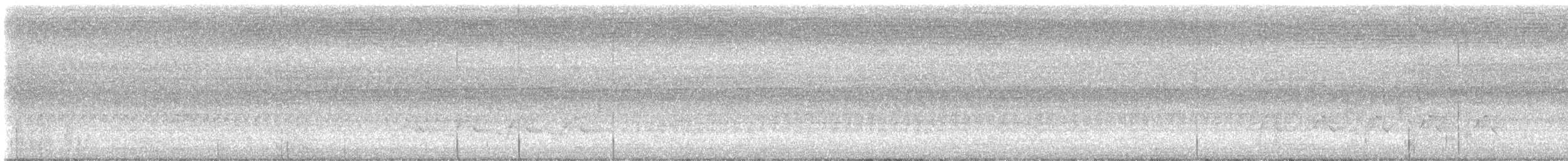 Поплітник каролінський - ML619441298
