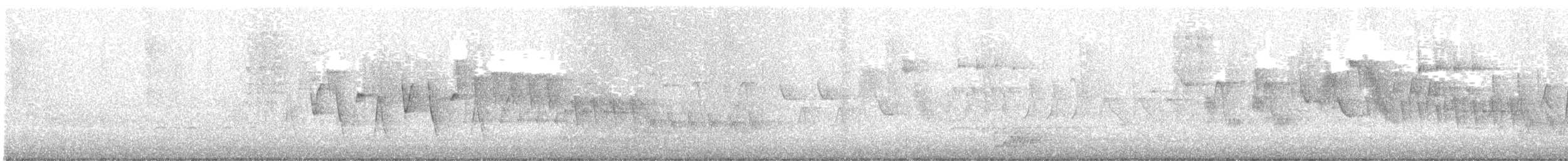 Paruline à gorge grise - ML619441524