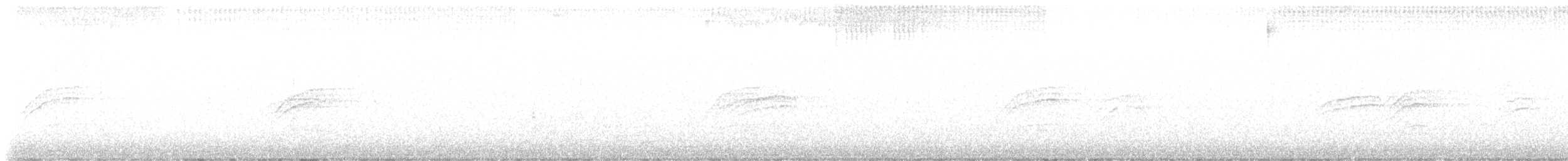 Дрізд-короткодзьоб плямистоволий - ML619441542