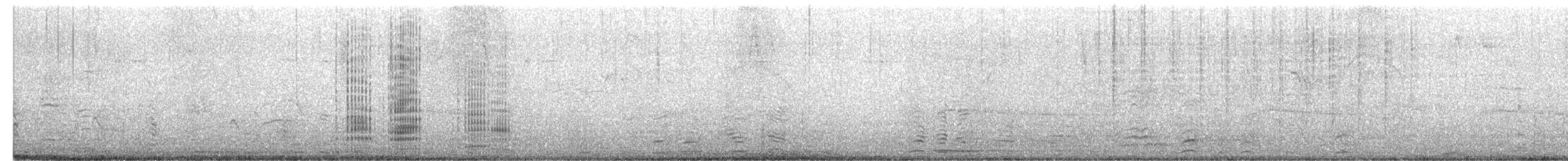 Neotropic Cormorant - ML619442770