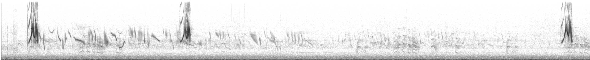 Жёлтая трясогузка (iberiae) - ML619443612