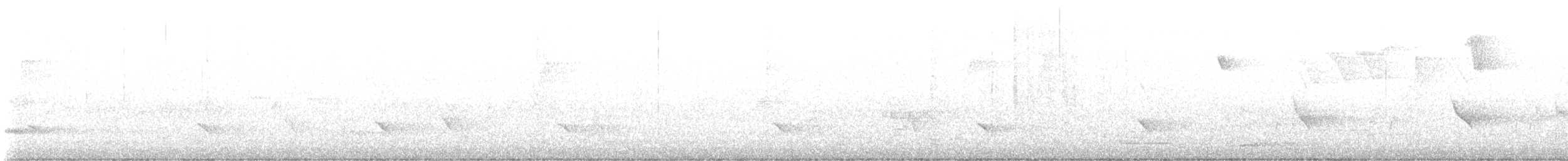 orlovec říční (ssp. carolinensis) - ML619445890