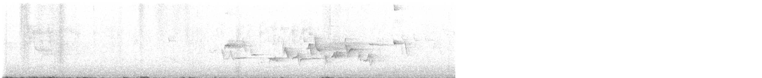 Western Warbling Vireo - ML619446247