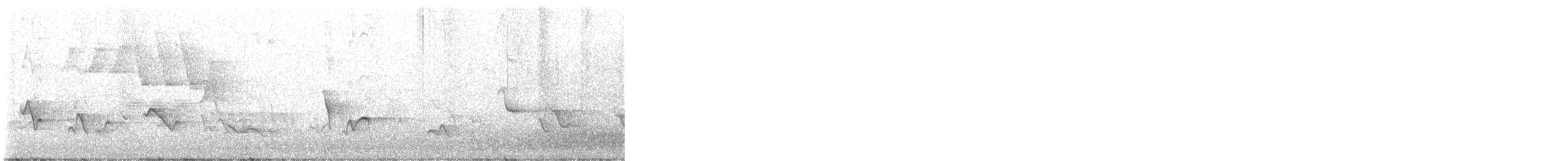 Northern Yellow Warbler - ML619446410