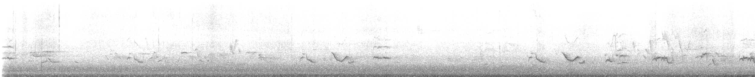 American Robin - ML619446487