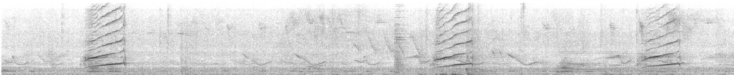 Düz Gagalı Ani - ML619446774