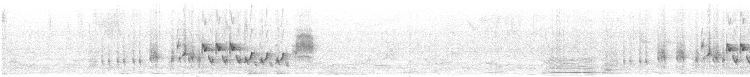 Домовый крапивник (grenadensis) - ML619446779