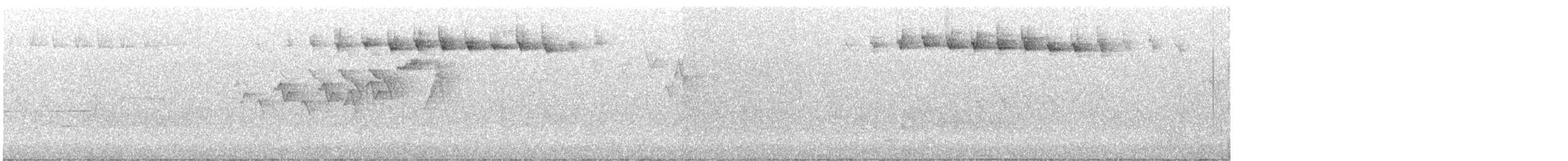 svarthetteparula - ML619446912