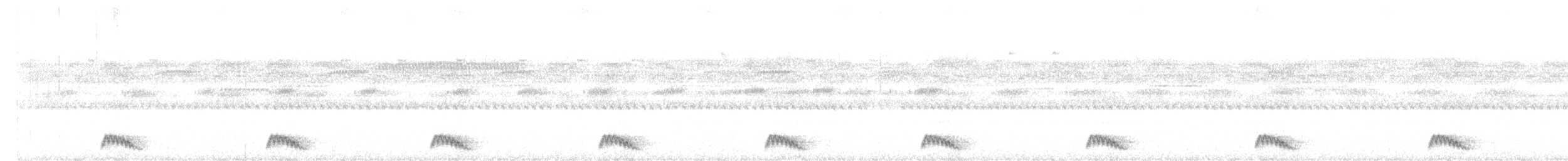 Yucatánnachtschwalbe - ML619447123