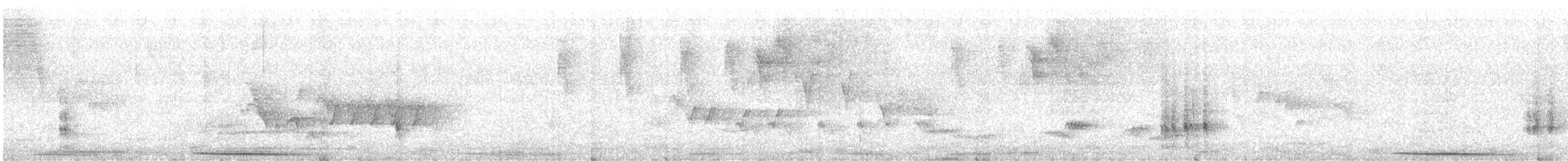 holub grenadský - ML619447905