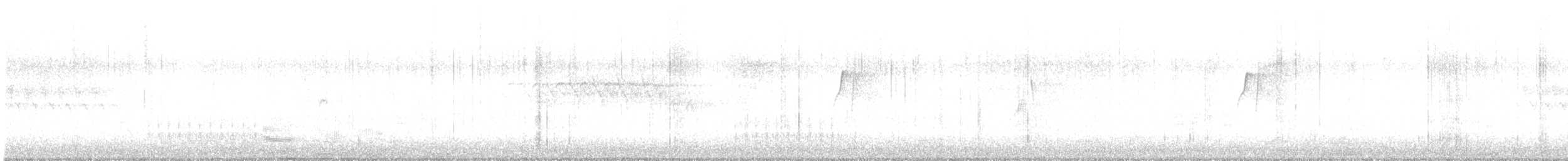 Hammond's Flycatcher - ML619447967