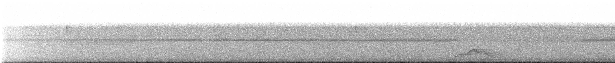 Pauraquenachtschwalbe - ML619450110