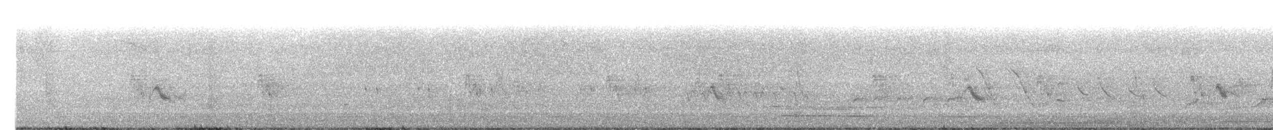 Gray-cheeked Thrush - ML619450308