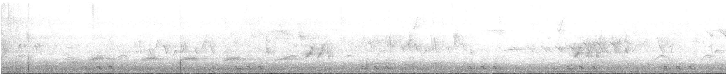 Black-billed Cuckoo - ML619451128