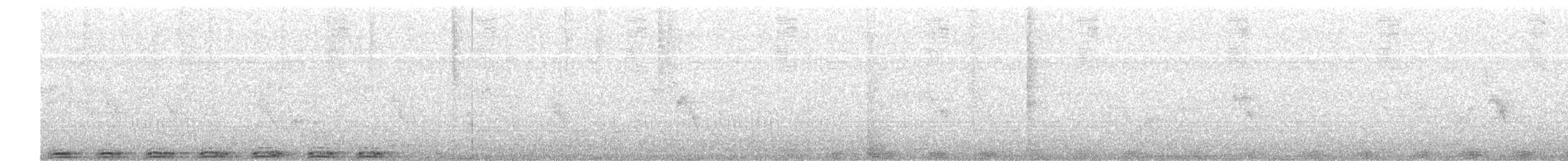 holub skvrnitý - ML619451137