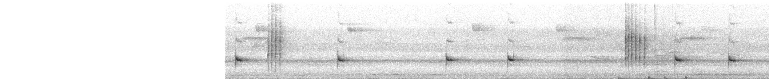 Troglodyte à poitrine blanche - ML619452624