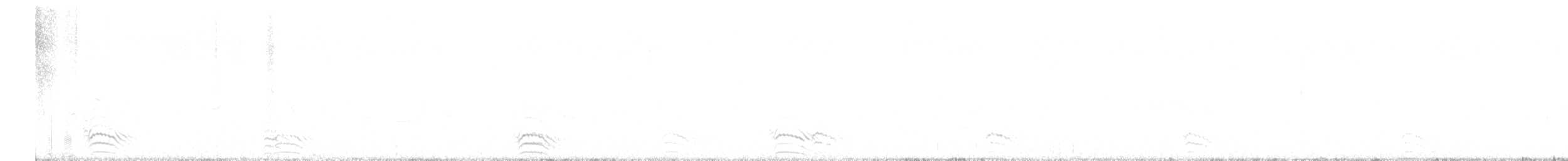 Белобрюхий рябок - ML619453076