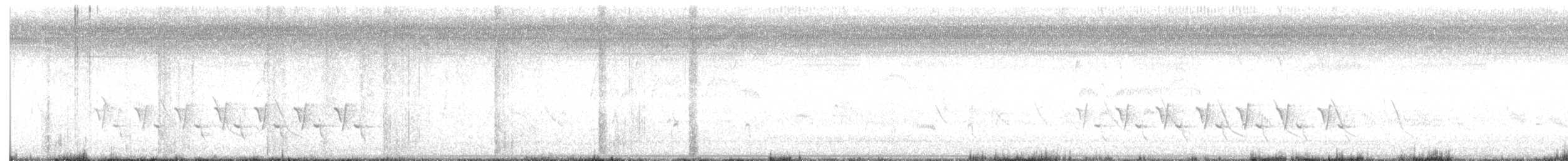 Каролинский крапивник - ML619454497