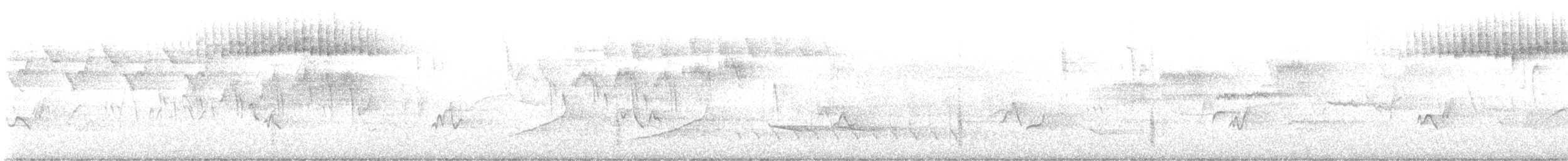 Vireo occhirossi - ML619455874