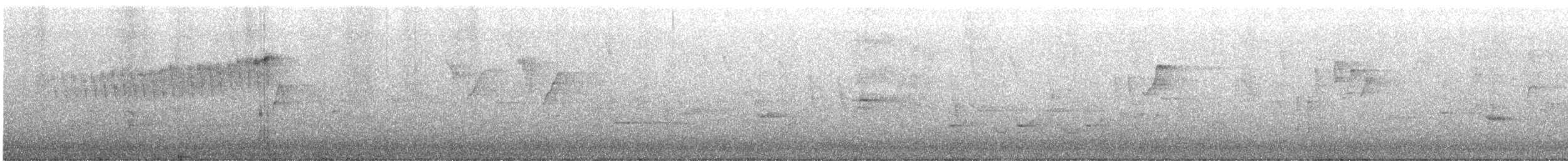 アサギアメリカムシクイ - ML619456535