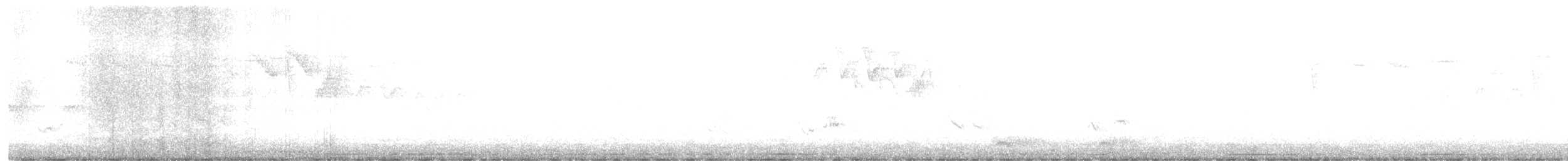 lesňáček černohlavý - ML619456556