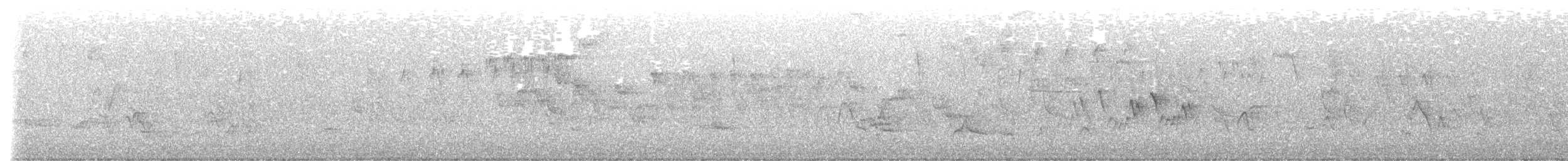Черногорлая хвойница - ML619459021