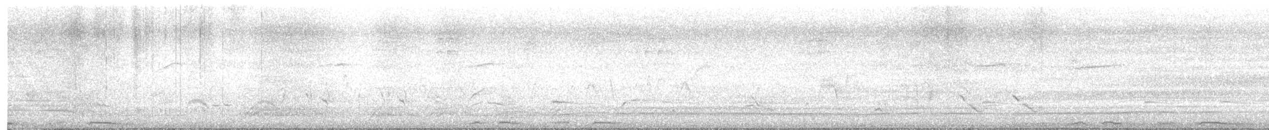 Белокрылая горлица - ML619460622