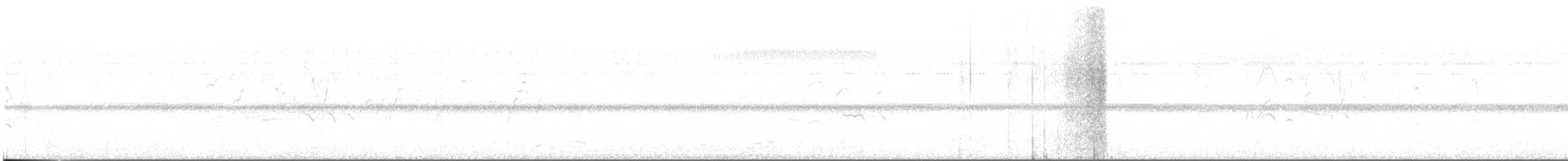 Kara Karınlı Islıkçı Ördek - ML619462955