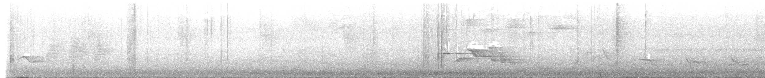 Troglodyte des halliers - ML619463526