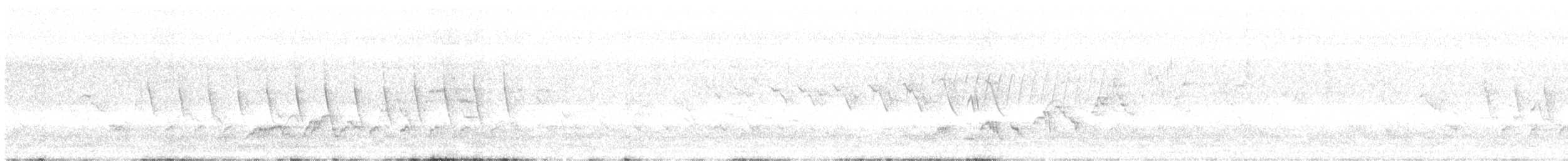 Дрізд-короткодзьоб Cвенсона - ML619464925
