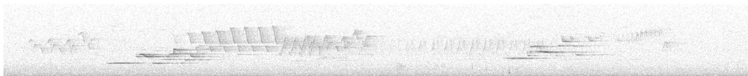 Дрізд-короткодзьоб плямистоволий - ML619466784