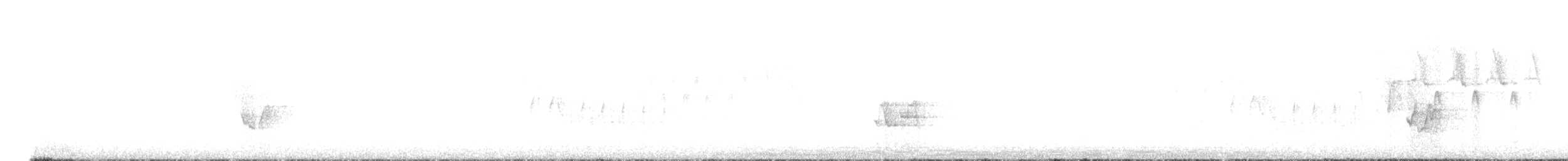 svartbrystparula - ML619469167