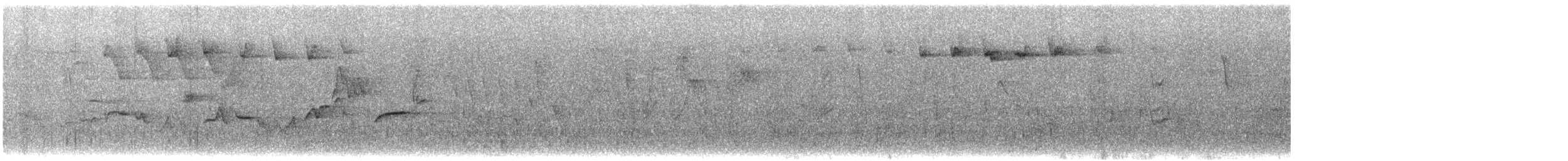 svarthetteparula - ML619470225