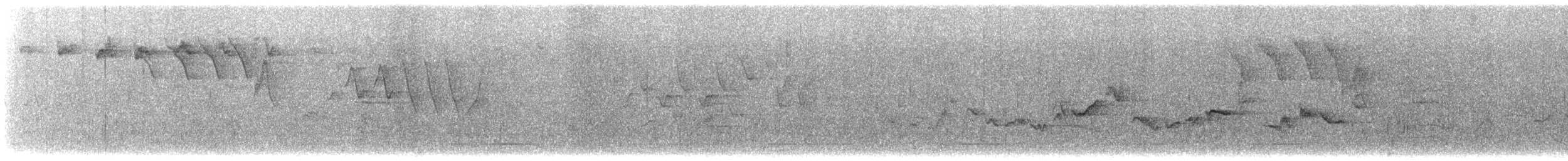 lesňáček černohlavý - ML619470226