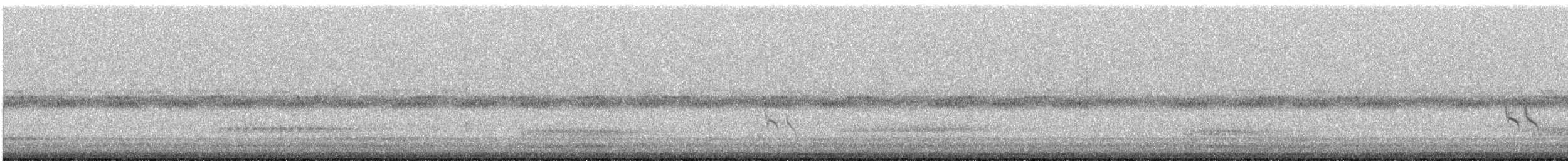 kortnebbekkasinsnipe - ML619470265