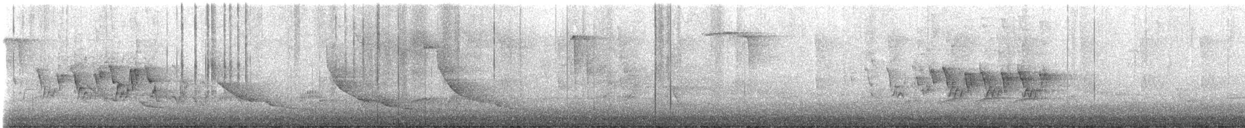 Черногорлая хвойница - ML619471351