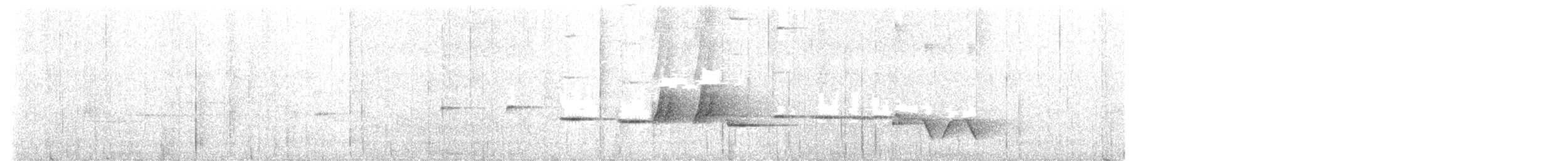 Gray-bellied Tesia - ML619472385
