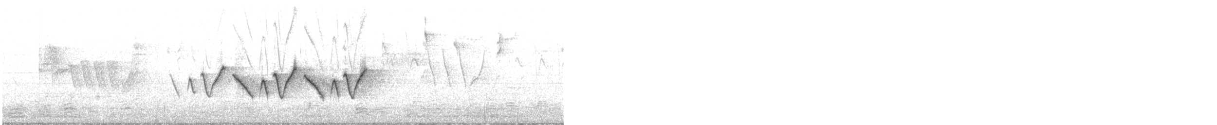 Common Yellowthroat - ML619472817