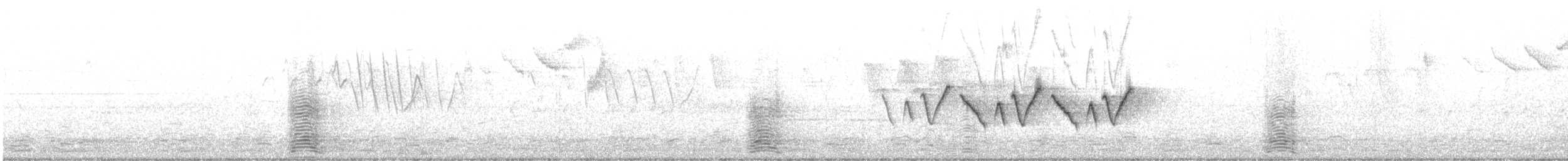 אווז שלג - ML619472834